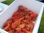 2007 Lobsterfest